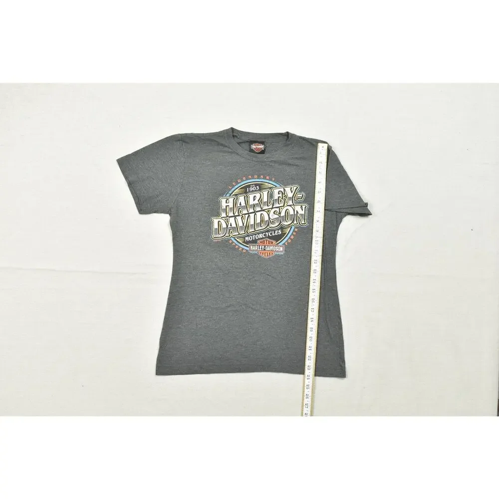Harley-Davidson Highland Somerset PA Graphic T-Shirt Gray Heather Size M